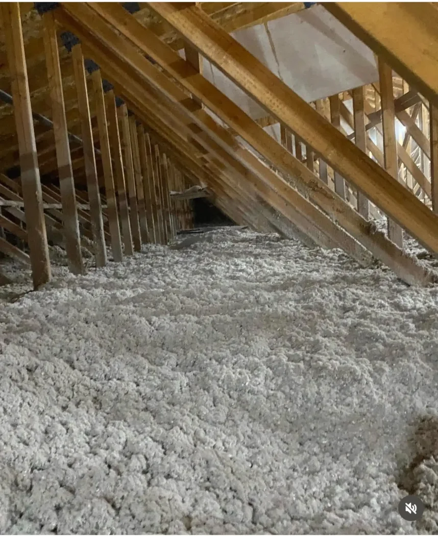 Attic insulation company in Red Deer